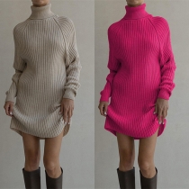 Fashion Turtleneck Long Sleeve Ribbed Sweater Dress