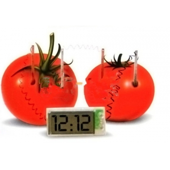 Potato Clock Novel Green Science Project Experiment Kit Lab Home School Toy  GN 